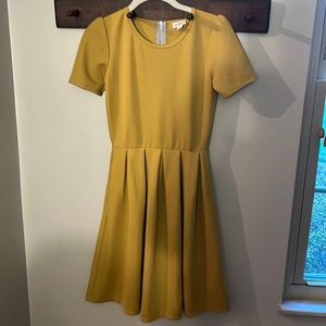 LuLaRoe Amelia Dress with back zip and pockets!!!